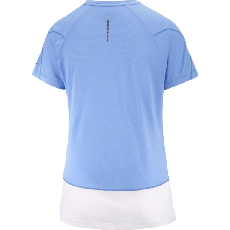 Camiseta Salomon Cross Run Gráficas Curta Sleeve Feminino Luz Azuis | PT F40592